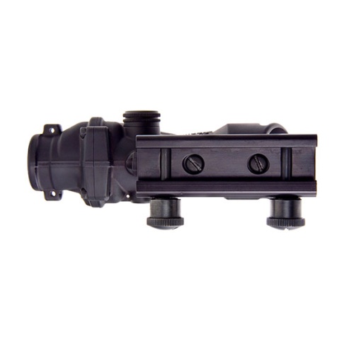 ta31-c-100411_bottom