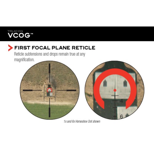 vcog-features1_1287152454
